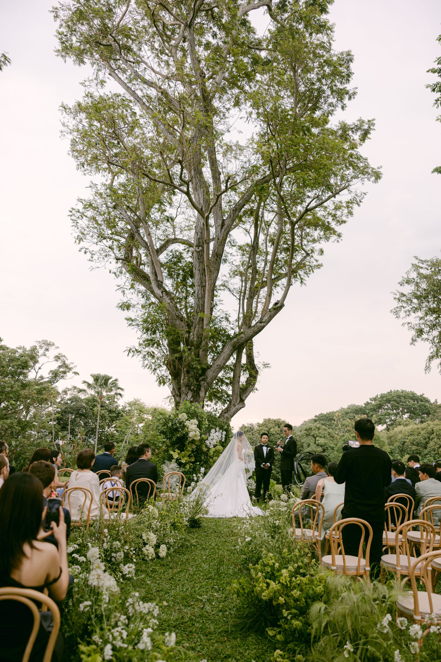 Outdoor wedding ceremony under a large tree with bride, groom, and guests in a garden setting